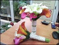 www.floristic.ru - .  !