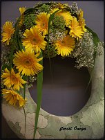 www.floristic.ru - .  