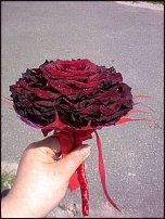 www.floristic.ru - Флористика. Гламелия