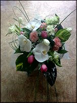 www.floristic.ru - .  !