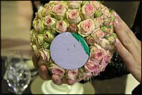 www.floristic.ru - .  .