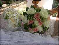 www.floristic.ru - .     .