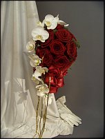 www.floristic.ru - .  .