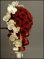 www.floristic.ru - .  .