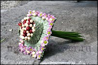 www.floristic.ru - .   ""  -