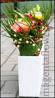 www.floristic.ru - .   ""  -