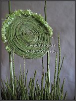 www.floristic.ru - . 