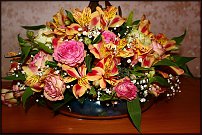 www.floristic.ru - .  .