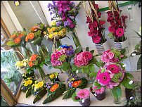 www.floristic.ru - .       - ?