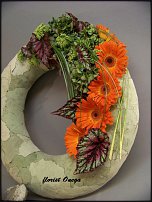 www.floristic.ru - .  