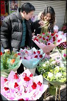 www.floristic.ru - . -