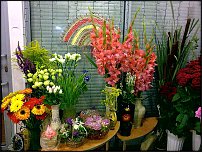 www.floristic.ru - .       - ?