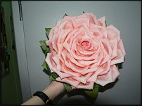 www.floristic.ru - .    ?