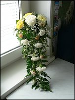 www.floristic.ru - .    ?