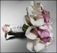 www.floristic.ru - .  