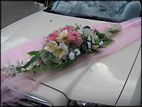 www.floristic.ru - .     ? -  