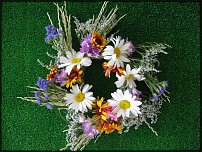 www.floristic.ru - .  