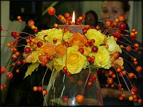 www.floristic.ru - .        -