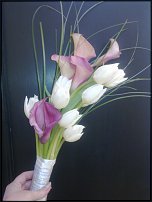 www.floristic.ru - .  !  !   