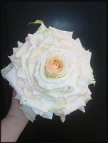 www.floristic.ru - .  !  !   