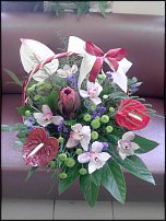 www.floristic.ru - .  !