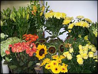 www.floristic.ru - .       - ?