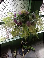 www.floristic.ru - .  