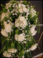 www.floristic.ru - .   - :)