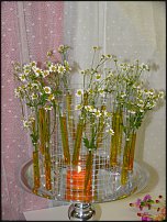 www.floristic.ru - .        -