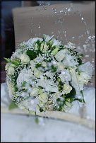 www.floristic.ru - .  .