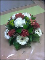 www.floristic.ru - .  .