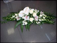 www.floristic.ru - .  .