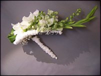 www.floristic.ru - .  .