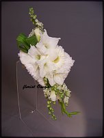 www.floristic.ru - .  .