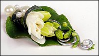 www.floristic.ru - .  .