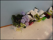 www.floristic.ru - .     ., .  .