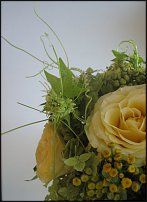 www.floristic.ru - .  