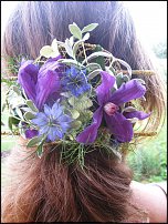 www.floristic.ru - .  