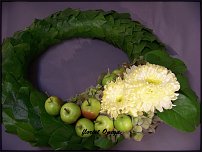 www.floristic.ru - .  