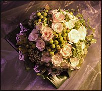 www.floristic.ru - .   