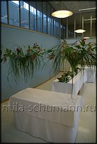 www.floristic.ru - .     ., .  .