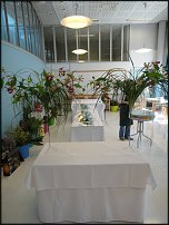 www.floristic.ru - .     ., .  .