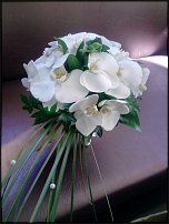 www.floristic.ru - .  