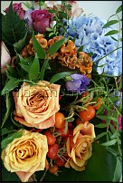 www.floristic.ru - .     ., .  .