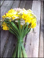 www.floristic.ru - .  