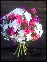 www.floristic.ru - .  