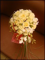 www.floristic.ru - .  