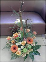 www.floristic.ru - . ,  .