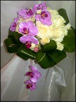 www.floristic.ru - .  .