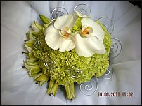 www.floristic.ru - .  .